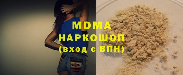 шишки Горняк