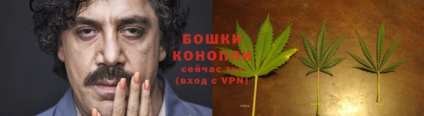 прущие крисы Гусиноозёрск