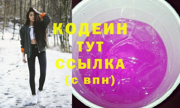 мяу мяу кристалл Гусь-Хрустальный