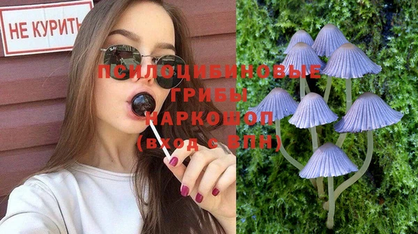 мяу мяу кристалл Гусь-Хрустальный