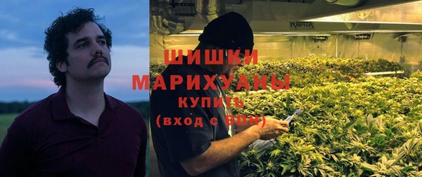 мяу мяу кристалл Гусь-Хрустальный