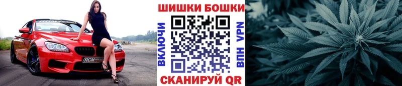 как найти Приозерск Конопля Ganja